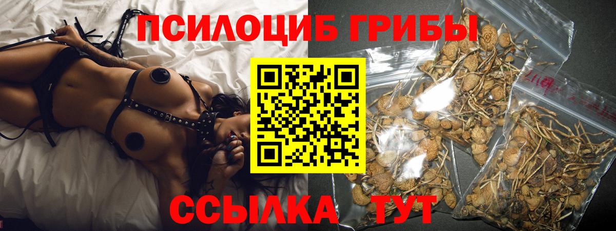 Псилоцибиновые грибы мицелий  Псилоцибиновые грибы прущие грибы  Вход с VPN  Междуреченск 